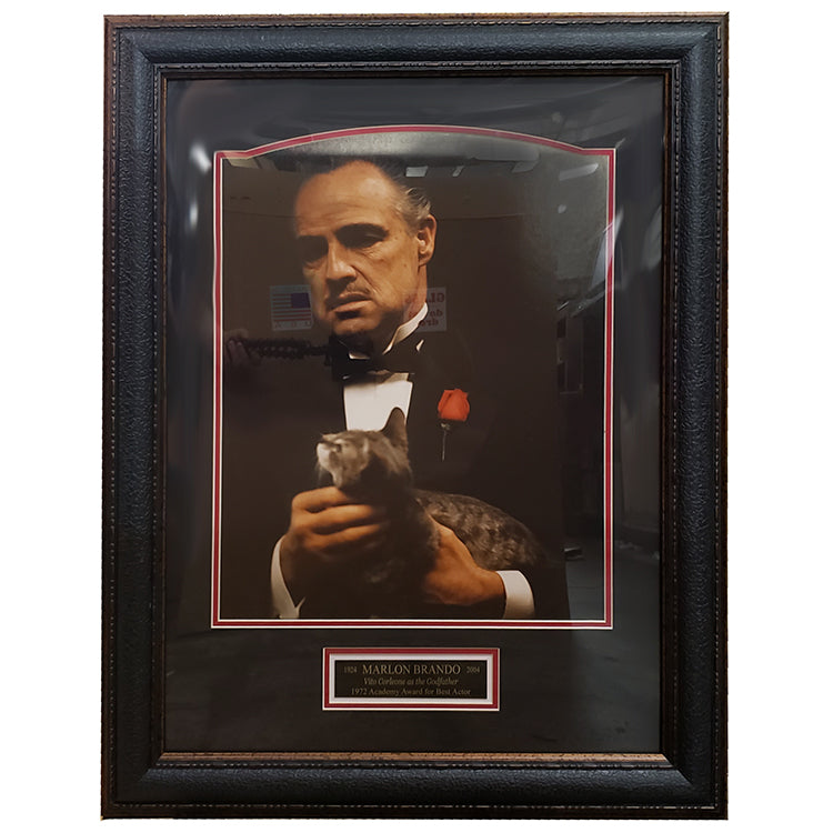 Marlon Brando Vito Corleone