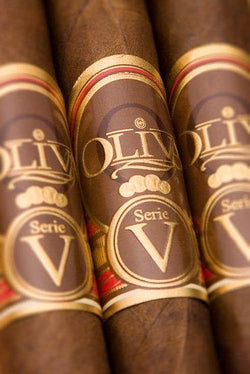 Oliva Serie V Double Robusto  